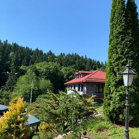 Apartment Lesny Dom *
