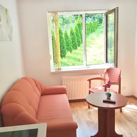 Appartement Lesny Dom